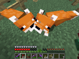 How To Fix A Fox In Minecraft Pocket Edition