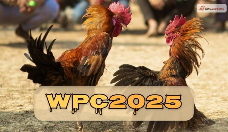 WPC2025 Everything You Need To Know About WPC2025 In 2023